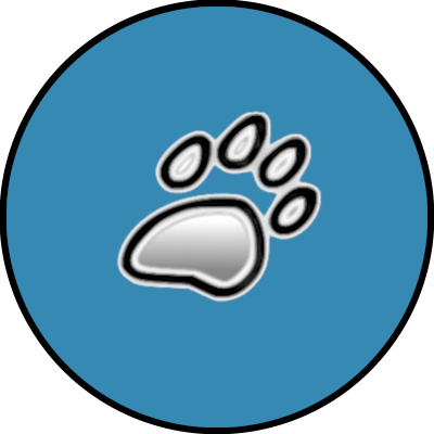 DipthDesign Hundehalsband Startup Geschichte