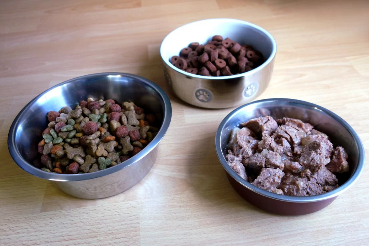 DipthDesign Dog Collar Shop What kind of dog food is there?