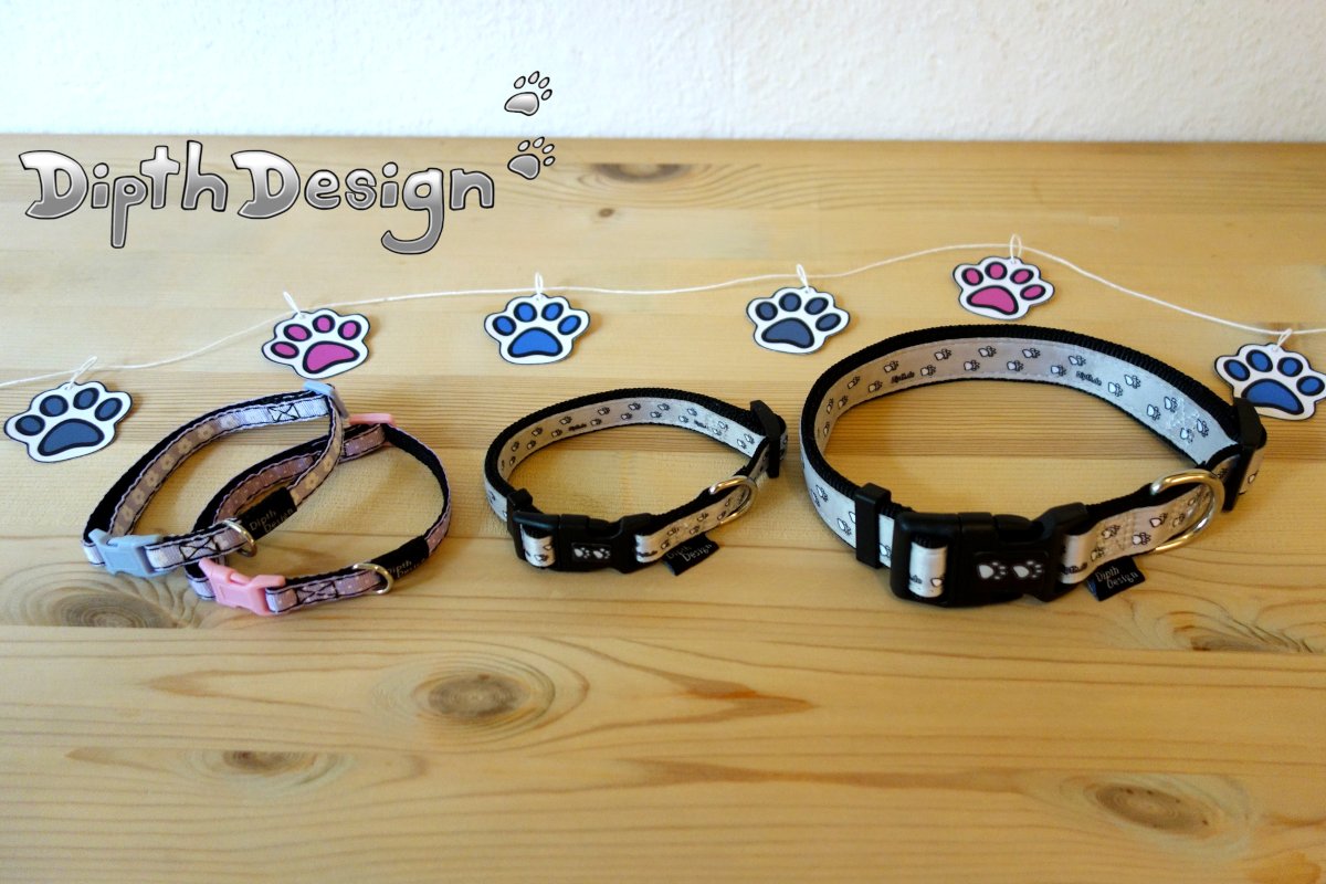 DipthDesign Dog Collar Shop When is the puppy allowed to wear a dog collar?