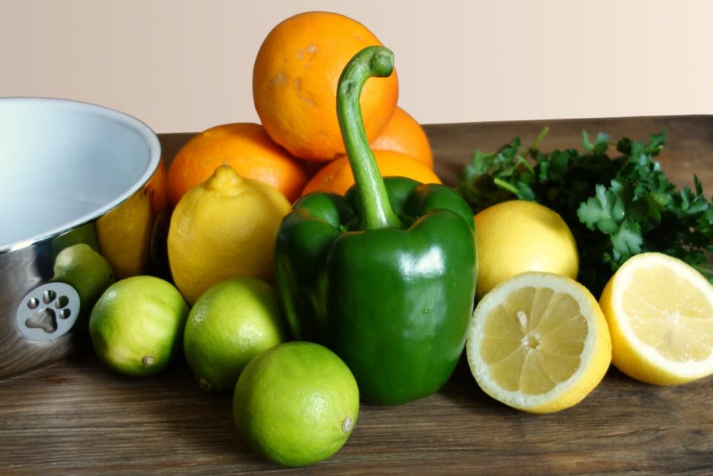 DipthDesign Hundehalsband Shop - Brauchen Hunde Vitamin C?
