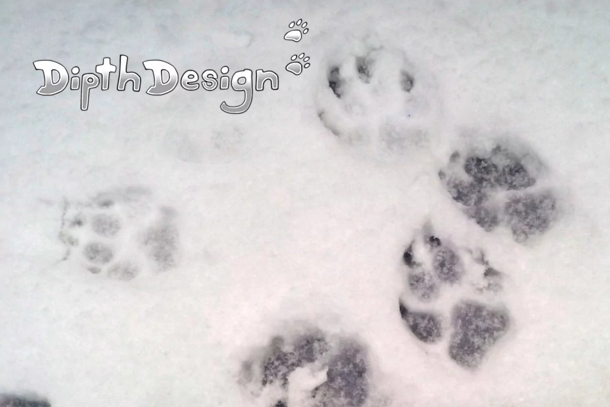 DipthDesign Hundehalsband Shop - Pfoten Pflege im Winter Schnee