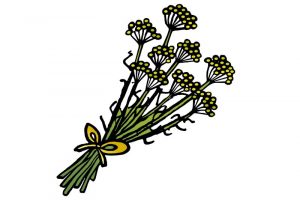 DipthDesign Dog Collar Shop - Which herbs are good for dogs - fennel