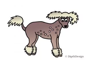 DipthDesign Design Hundehalsband Shop - Fellpflege für Hunde - Fell richtig pflegen - Hunde ohne Fell Nackthund