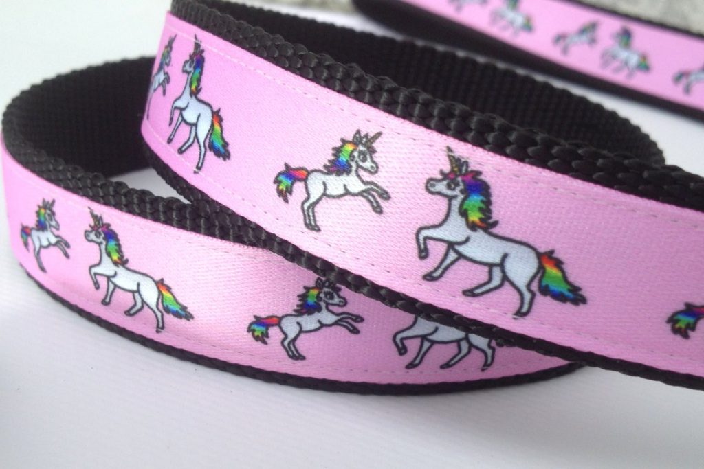 Halsband und Leine Einhorn