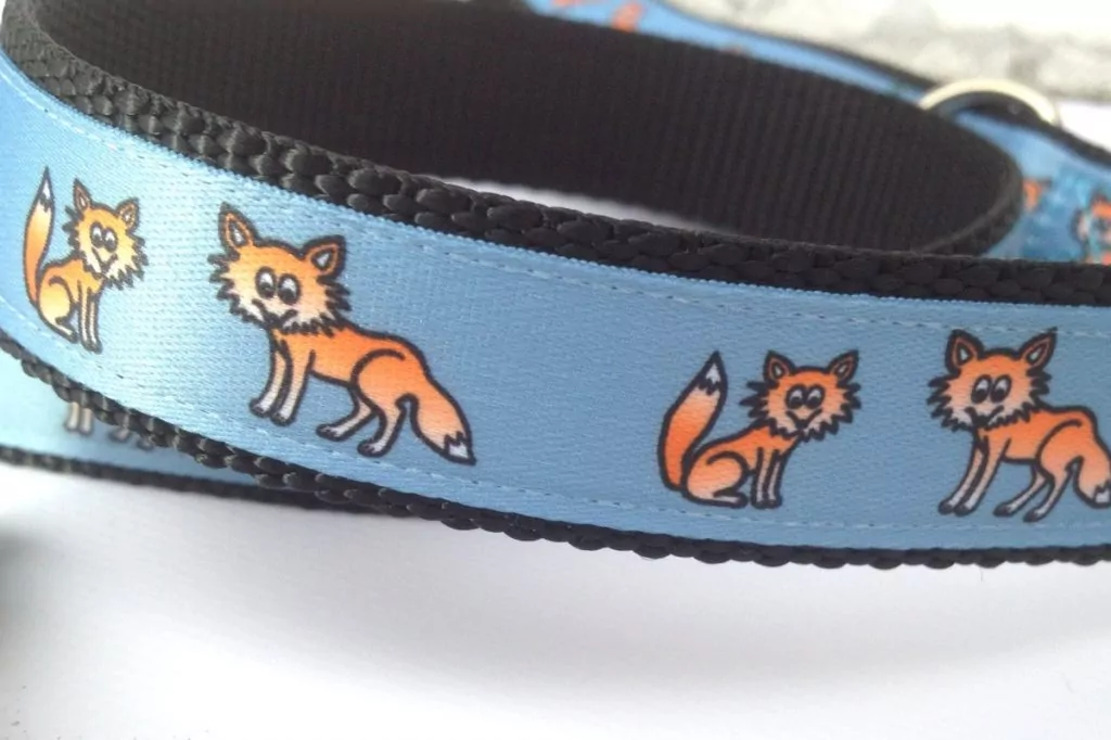 Halsband und Leine Fuchs