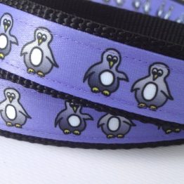 Halsband und Leine Pinguin