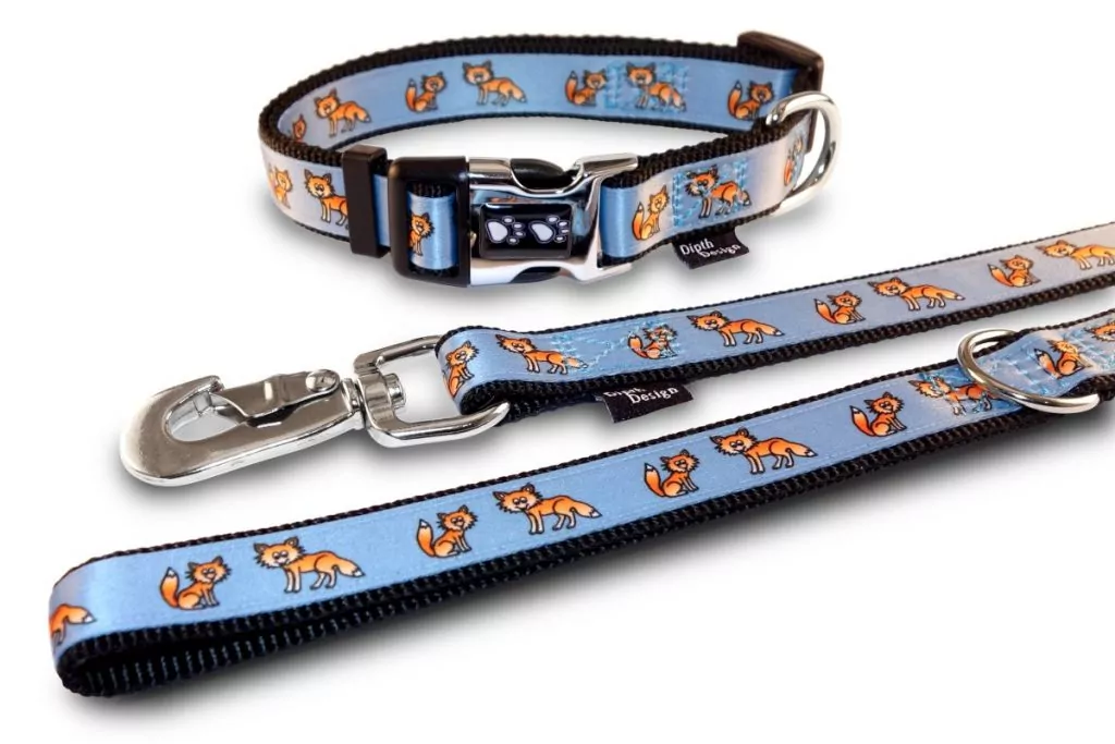 Halsband und Leine Fuchs