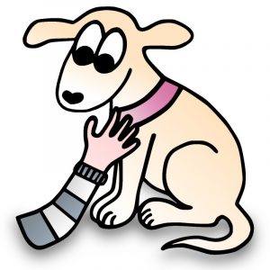 Halsband Hundehalsband besonders weich