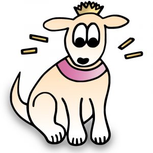 Halsband Hundehalsband Design Exklusiv Krone