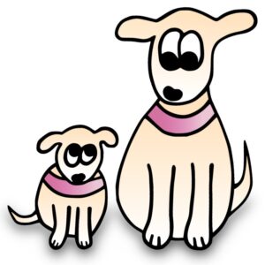 Halsband Hundehalsband große Hunde kleine Hunde