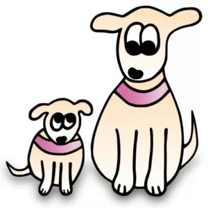 Halsband Hundehalsband große Hunde kleine Hunde