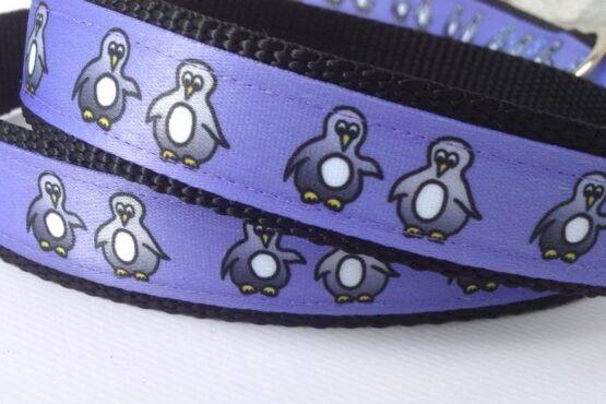Pinguin Leine und Halsband